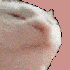 Avatar for Jell-o_Monster
