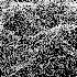 Awatar dla die_sorge