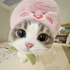 Avatar for goodniqhts