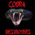 Аватар для CobraDestroyers