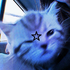 Avatar for The_M00n_333