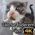 brugatinho için avatar