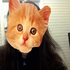 Avatar for Armageddonizer