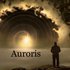 Avatar for Auroris