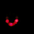Avatar di patrick_gt