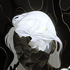 Avatar for Hullluapina