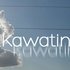 Kawatin 的头像