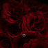 Avatar for M1chalausi