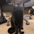 Avatar for milkfr