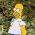 koeniq için avatar