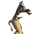 Avatar di woodcomb