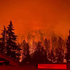 Avatar for ddf4k