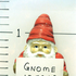 gardengnomes 的头像