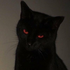 Avatar di Treumatic