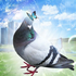 Avatar for m_milenk0