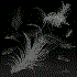 Avatar for black-sky0402