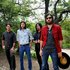 The Avett Brothers 的头像