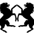 Avatar für yuckmo