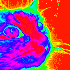 Avatar for spiranspinner