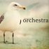 Avatar de Seagull Orchestra