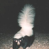 NexusLolmao için avatar