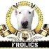 FROLICS (the) 的头像