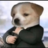 Avatar di Sikora919