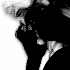 Avatar for PraewQuorraa