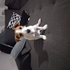 xxxtutorialsxxx 的头像