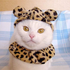 catswithhats 的头像