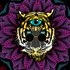 Avatar for Common Creation