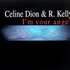 R. Kelly ,Céline Dion 的头像