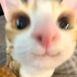 Draconic__ 的头像