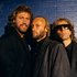 Avatar di Bee Gees