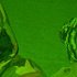 The Green Brothers 的头像