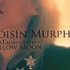 Marius DeVries, Róisín Murphy & The Revolution のアバター