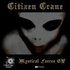 Avatar for Citizen crane