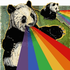 Avatar for pando_O