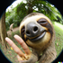 Avatar for cloudyq3