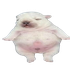 TilinZote için avatar
