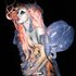 Avatar for Lady Gaga