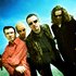Catherine Wheel のアバター