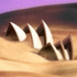 Avatar for el-zilcholas