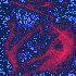 Avatar for aggrades