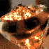 Avatar for coofox3000