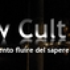 Slowcult 的头像