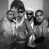 Avatar for Rich Boy & Timbaland