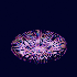 Avatar for jackddouglas