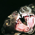 Avatar for bankr808