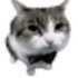 Avatar for 1mint